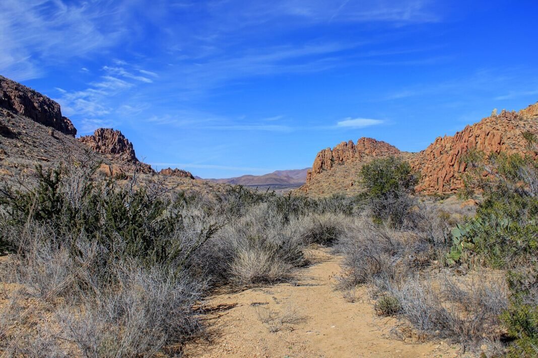 Outdoor Activities in Texas 2026: Big Bend, Padre Island, and Hill Country Rivers Big Bend National Park Texas outdoor 2026