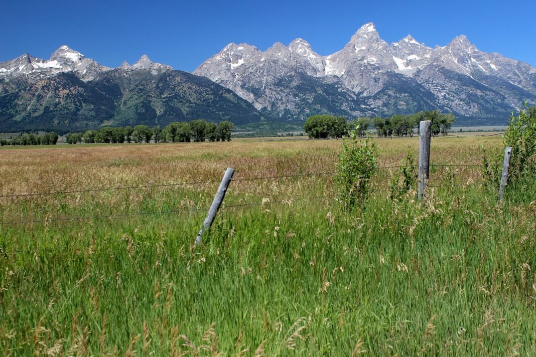 Wyoming Travel Guide 2026: Yellowstone, Grand Teton, and the Wild West Jagged peaks of the Teton Range rising above a green Jackson Hole meadow in Grand Teton National Park, Wyoming