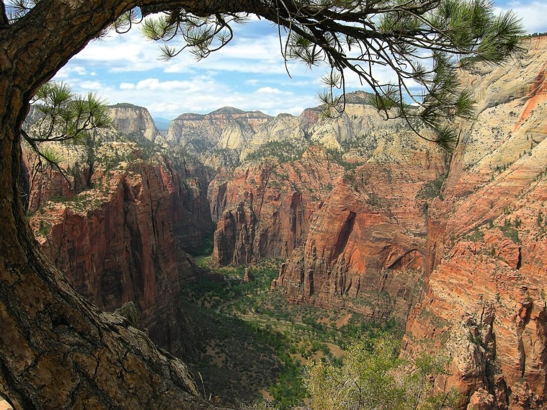 Utah Travel Guide 2026: National Parks, Red Rock Canyons, and Ski Country Zion National Park Utah travel guide 2026