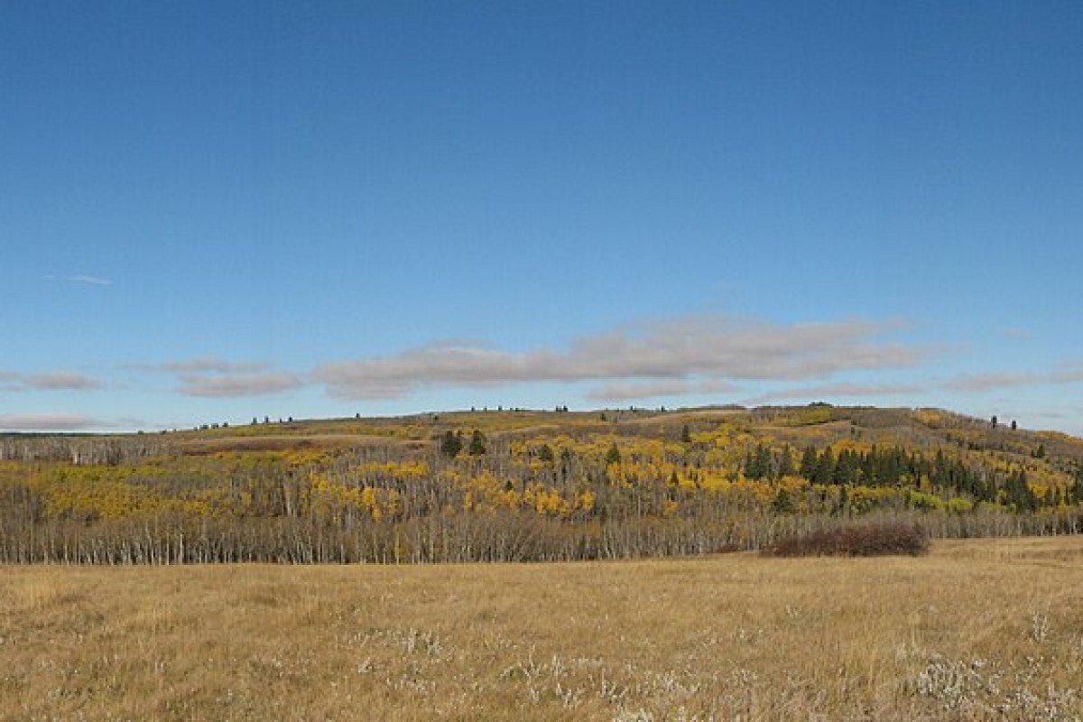 Moving to Saskatchewan in 2026: Complete Relocation Guide Panoramic view of Cypress Hills Interprovincial Park Saskatchewan Canada