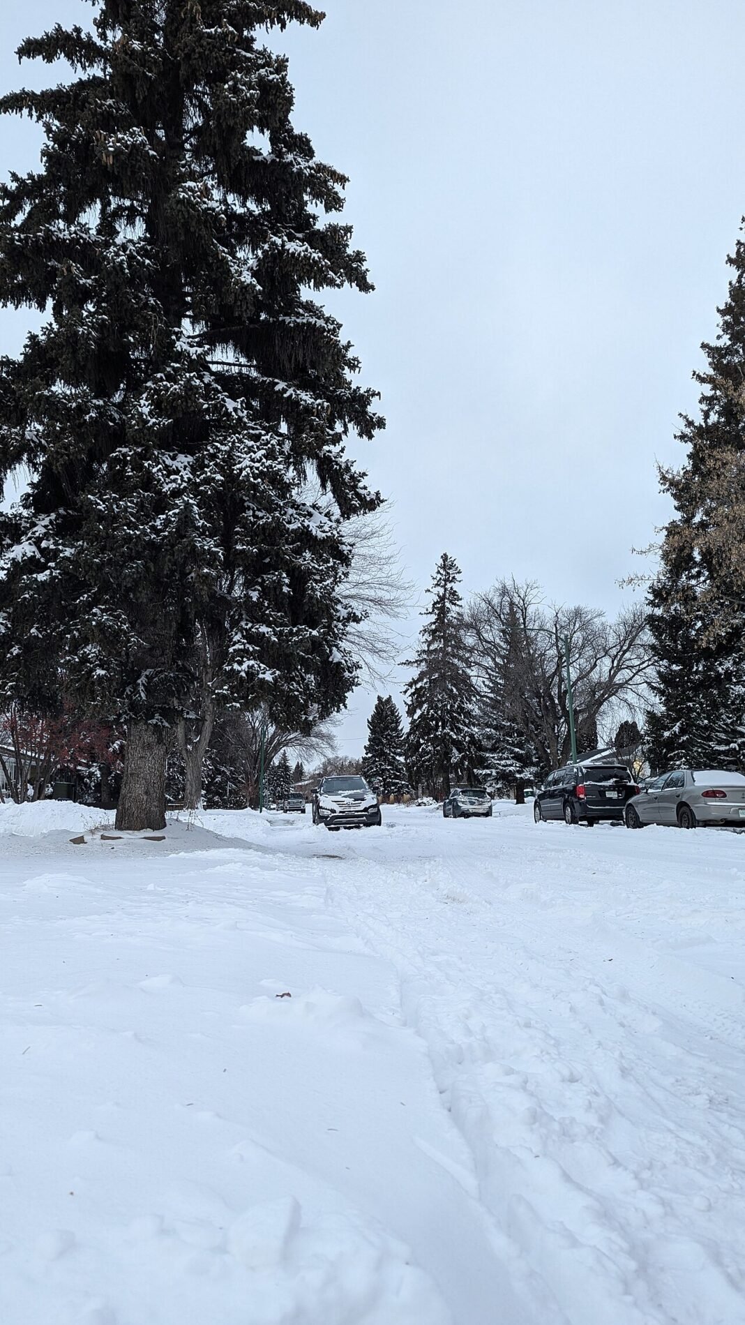 Saskatchewan Travel Guide 2026: Regina, Saskatoon, and the Prairie Horizon Downtown Saskatoon street scene along the South Saskatchewan River Canada