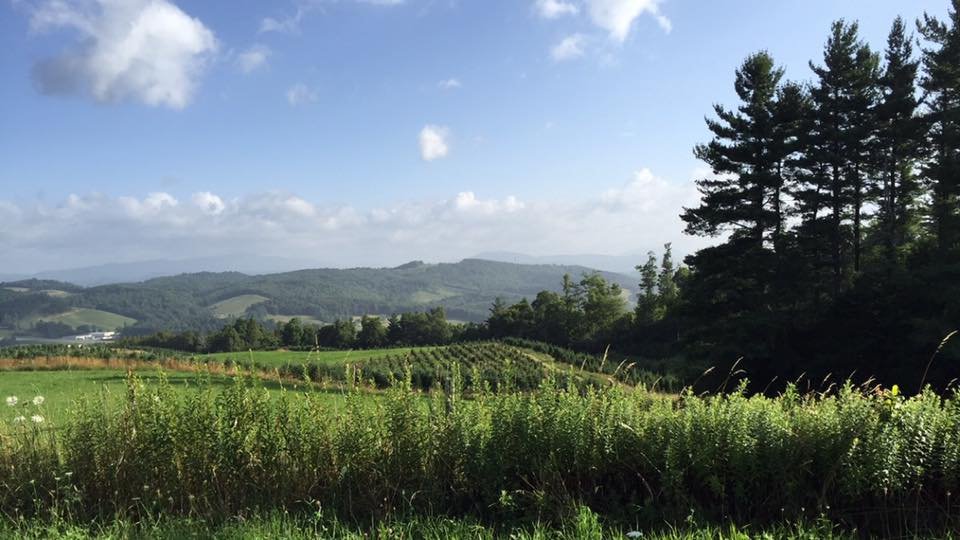 Outdoor Activities in North Carolina 2026: Mountains, Coast, and Everything Between Blue Ridge Mountains parkway North Carolina autumn fall foliage Appalachian highlands