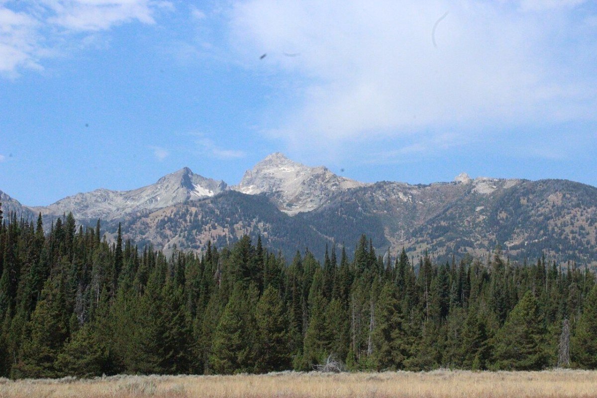 Moving to Wyoming in 2026: Complete Relocation Guide Wyoming mountains and evergreen forest blue sky Big Horn or Medicine Bow wilderness