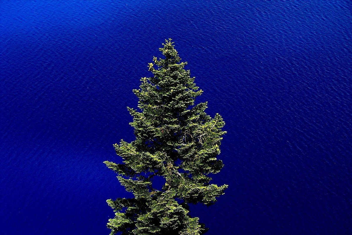 Oregon Travel Guide 2026: Crater Lake, the Coast, and Portland’s Urban Culture Crater Lake Oregon volcanic caldera deep blue lake Wizard Island