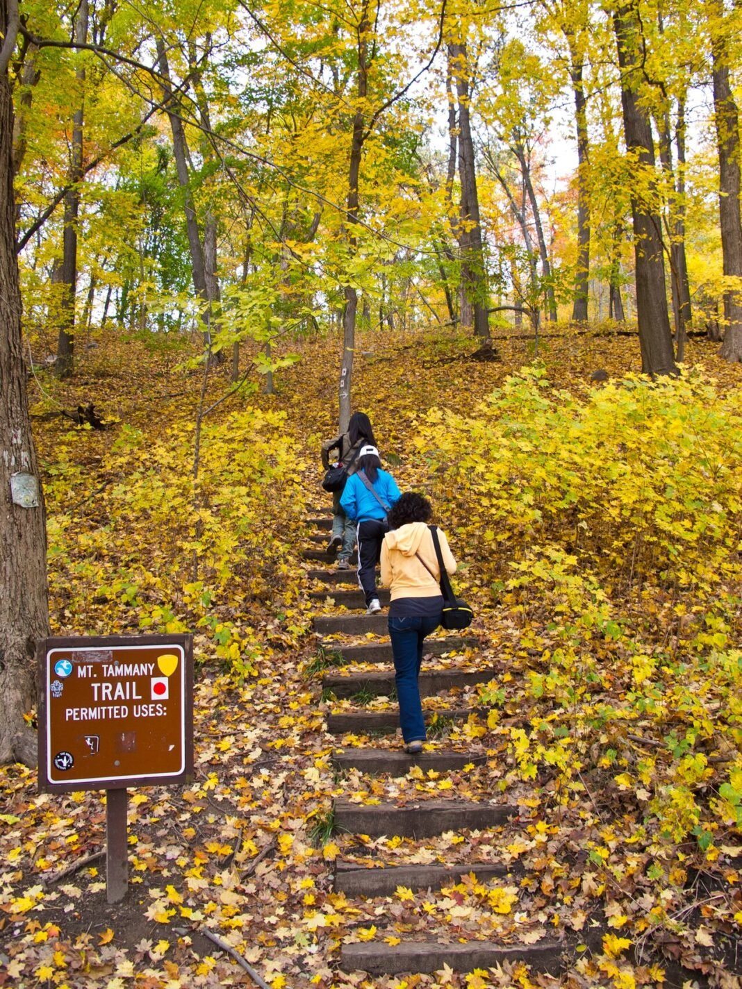 Outdoor Activities in New Jersey 2026: Shore, Pine Barrens, and the Appalachian Trail Delaware Water Gap trail hikers Appalachian Trail New Jersey ridge view