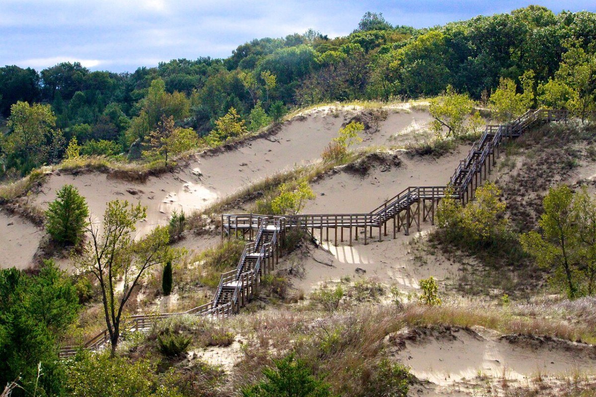 Moving to Indiana in 2026: Complete Relocation Guide Dune Succession Trail West Beach Indiana Dunes National Park sandy trail ecosystem