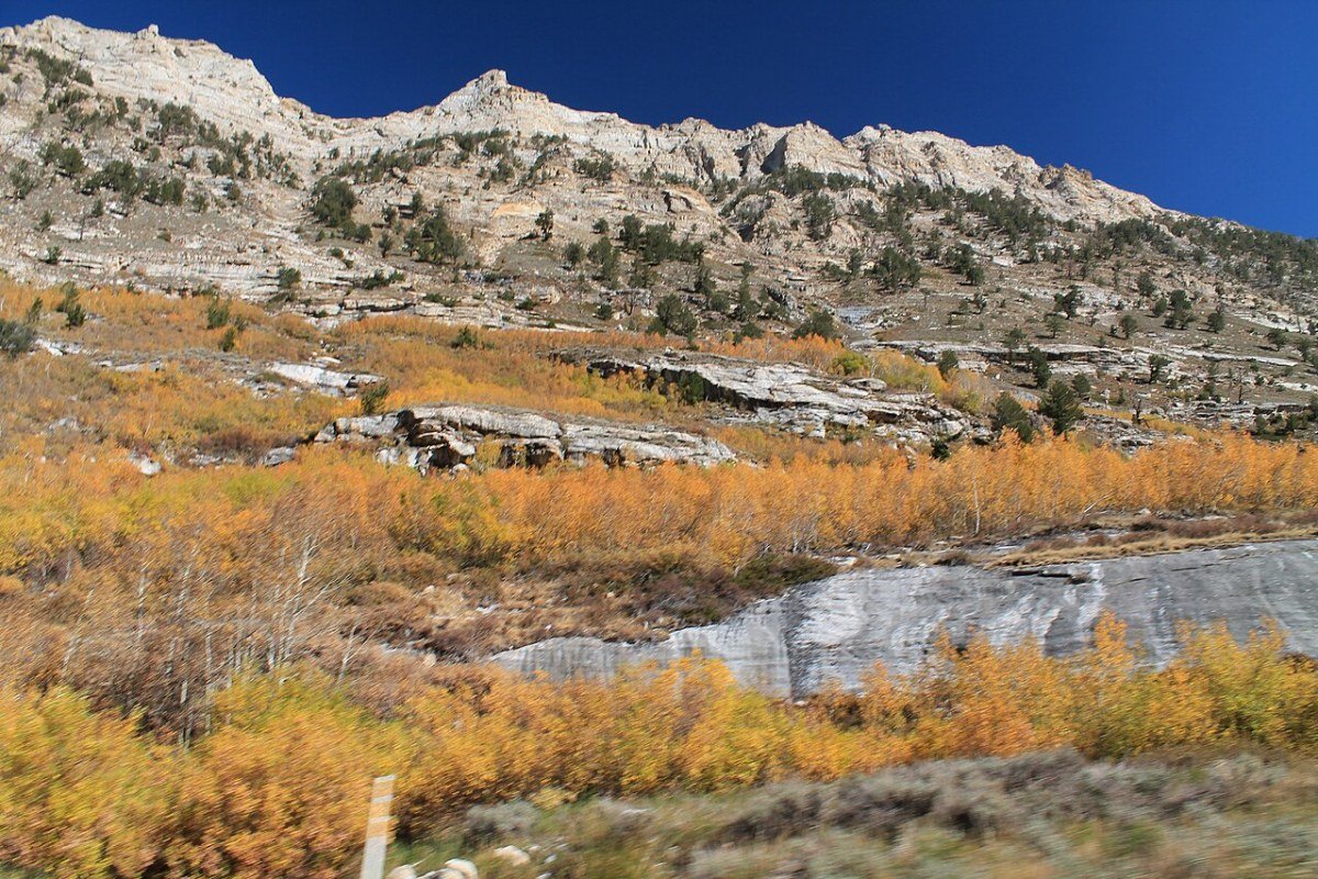 Outdoor Activities in Nevada 2026: Desert Canyons, Basin Wilderness, and the Sierra Nevada Fall foliage in the Ruby Mountains Elko County Nevada alpine basin