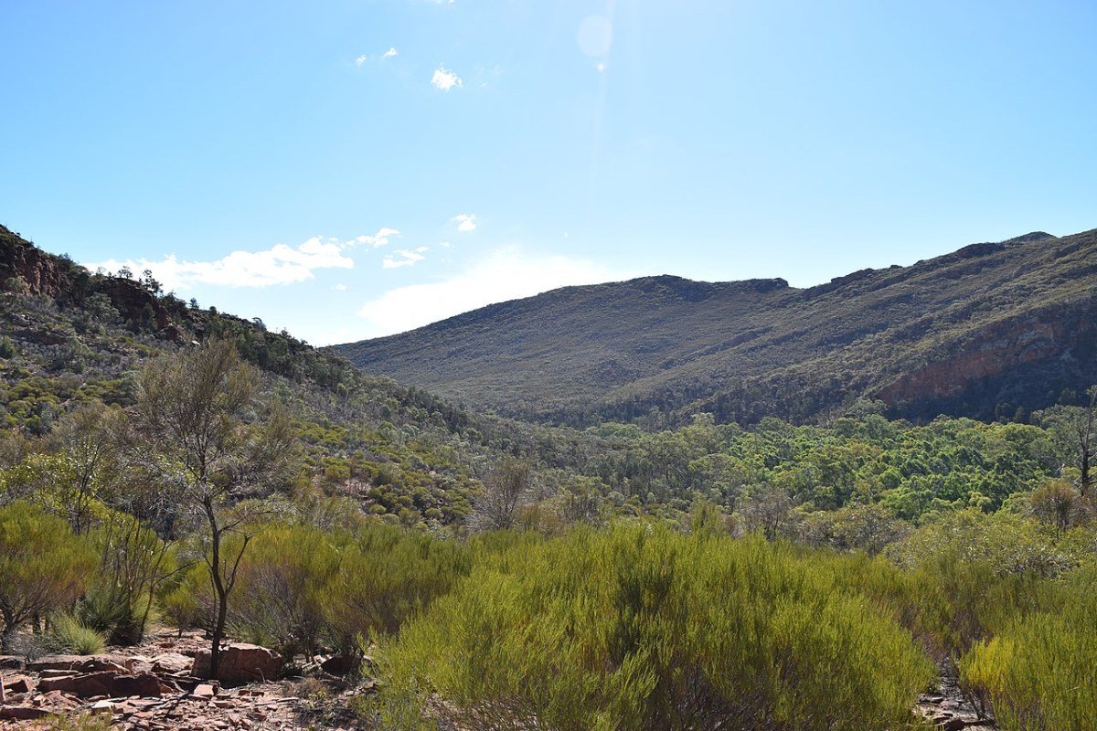 Moving to South Australia in 2026: Complete Relocation Guide Flinders Ranges South Australia ancient ochre mountains Wilpena Pound outback