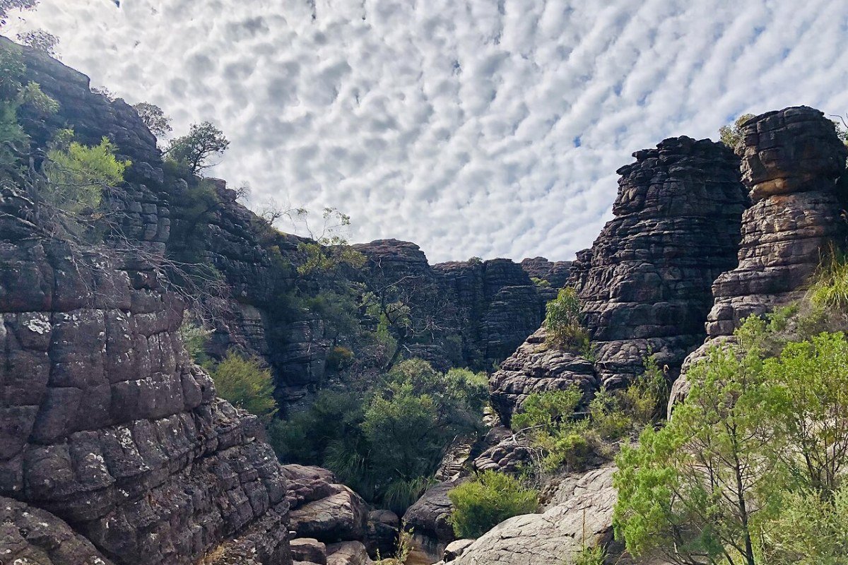 Outdoor Activities in Victoria 2026: Great Ocean Road, Alpine Skiing, and Bay Kayaking Grampians National Park wildflowers Victoria Australia Gariwerd Grampians Ranges