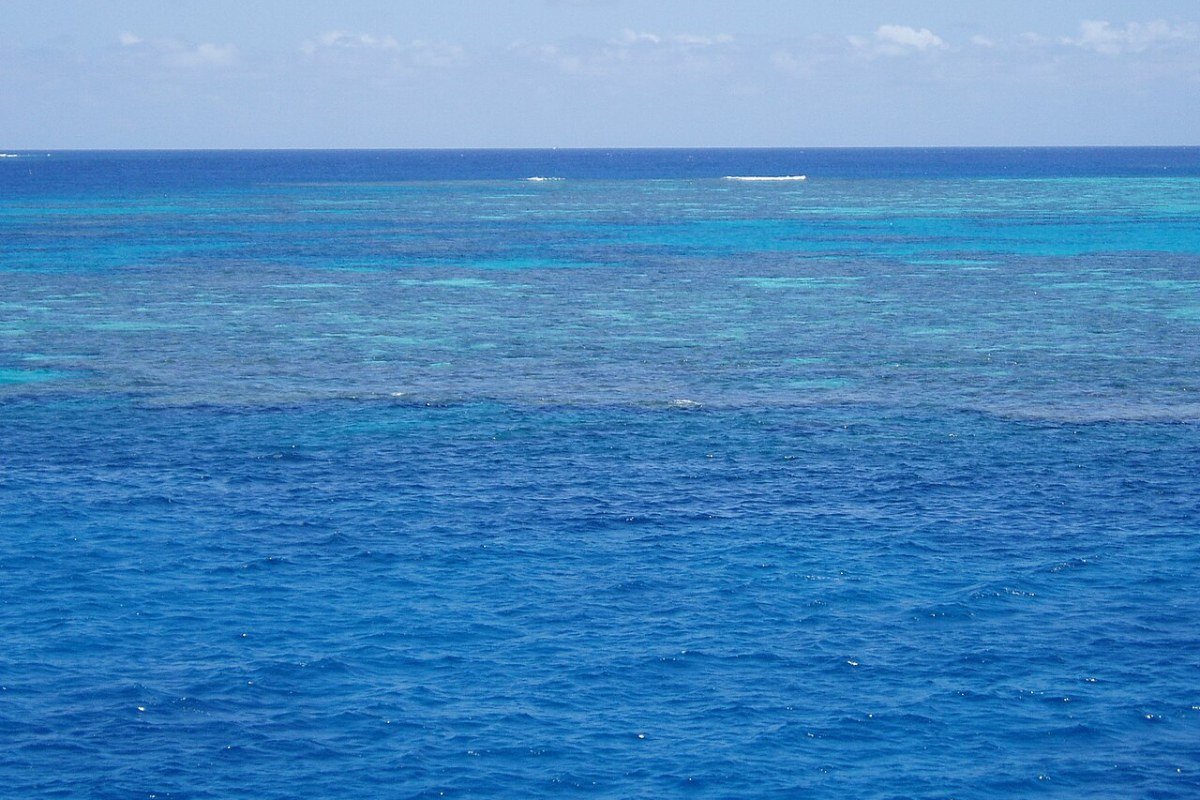 Queensland Travel Guide 2026: Great Barrier Reef, Tropical Rainforests, and the Gold Coast Great Barrier Reef coral formations underwater Queensland Australia UNESCO World Heritage