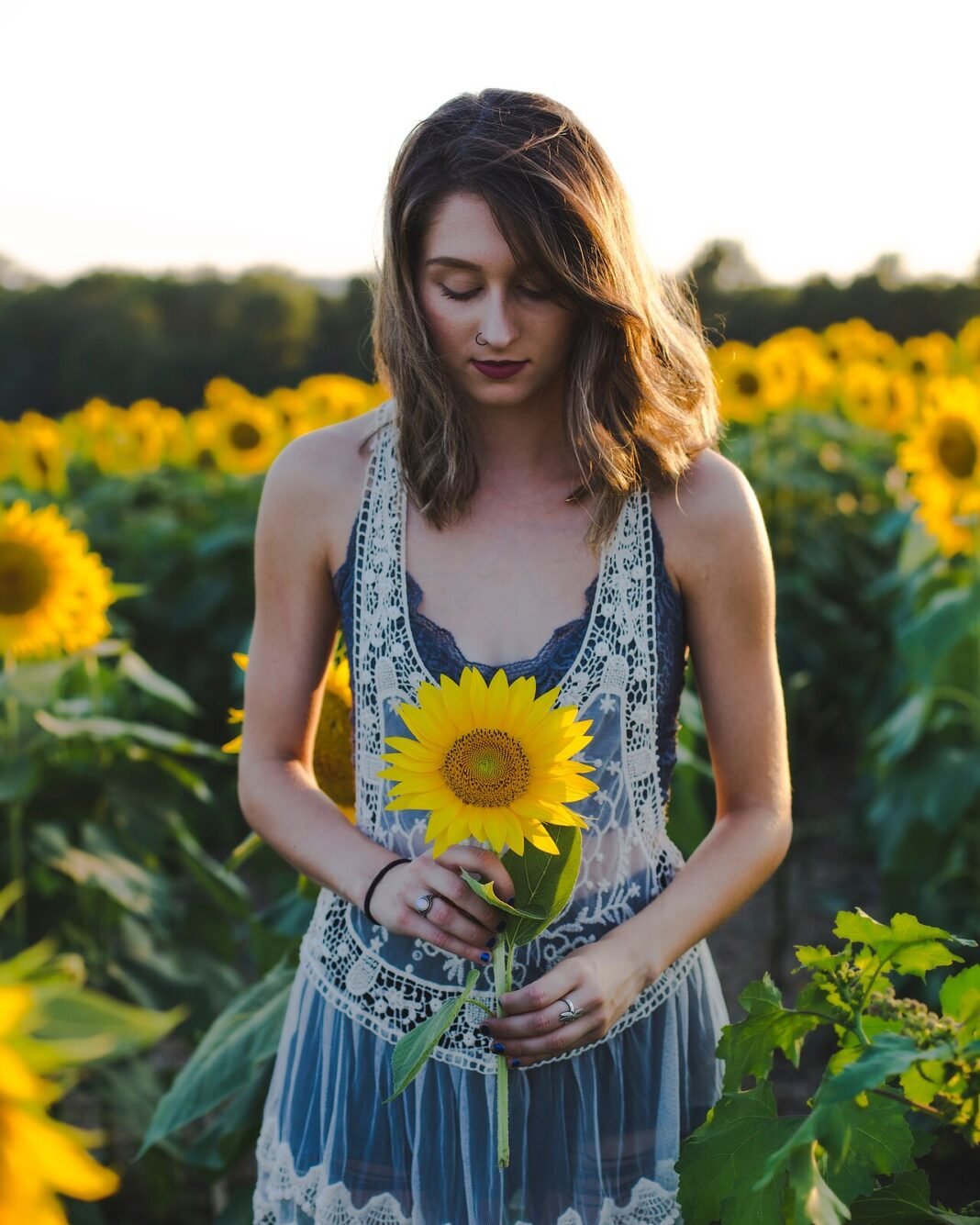 Moving to Kansas in 2026: Complete Relocation Guide Grinter Farms sunflower fields Lawrence Kansas late summer blooms