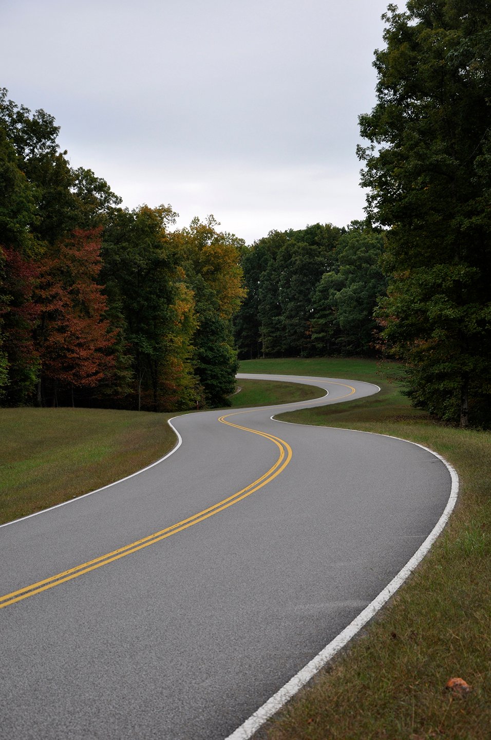 Moving to Mississippi in 2026: Complete Relocation Guide Natchez Trace Parkway tunnel of trees Mississippi autumn fall colors scenic drive