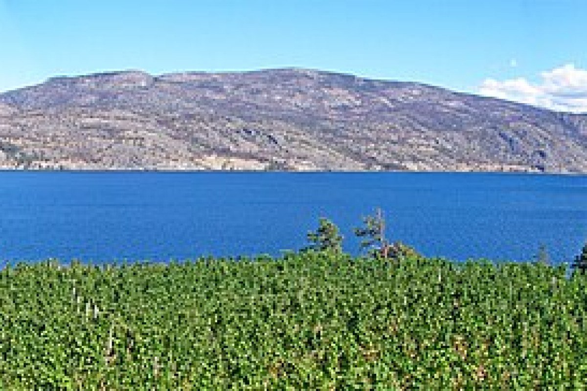 Cost of Living in British Columbia 2026: Vancouver’s Premium and the Province’s Alternatives Greata Ranch vineyard overlooking Okanagan Lake British Columbia Canada