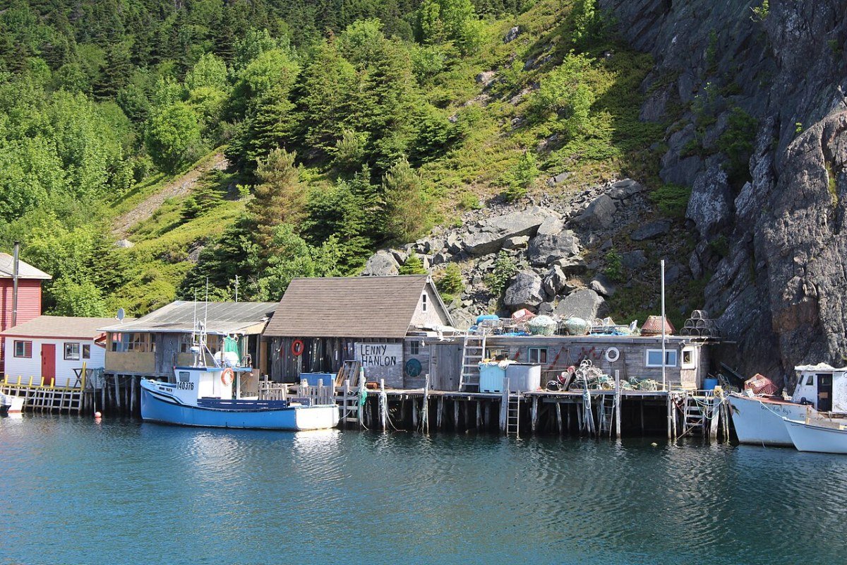 Best Places to Live in Newfoundland and Labrador 2026: St. John’s, Corner Brook, and the Outports Quidi Vidi Village picturesque fishing harbor near St. Johns Newfoundland Canada