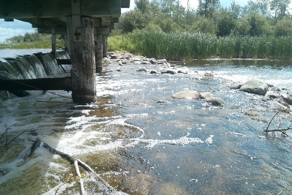 Moving to Manitoba in 2026: Complete Relocation Guide Riding Mountain National Park boreal forest and Clear Lake Manitoba Canada