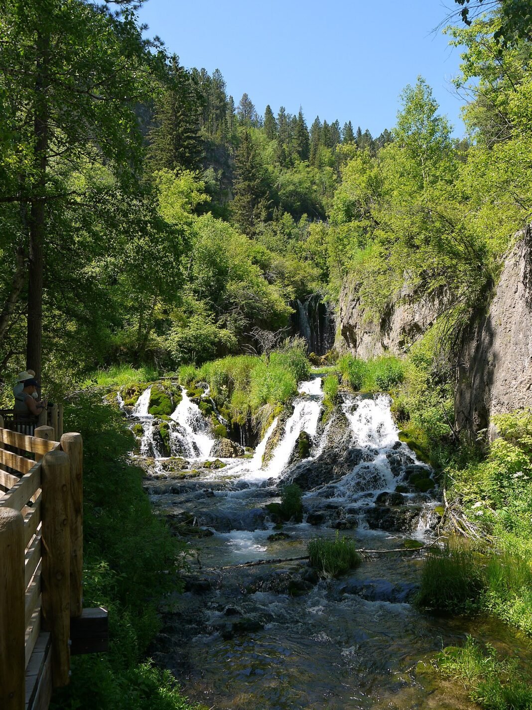 Cost of Living in South Dakota 2026: No Income Tax and Prairie Affordability Roughlock Falls Spearfish Canyon South Dakota limestone gorge Black Hills waterfall