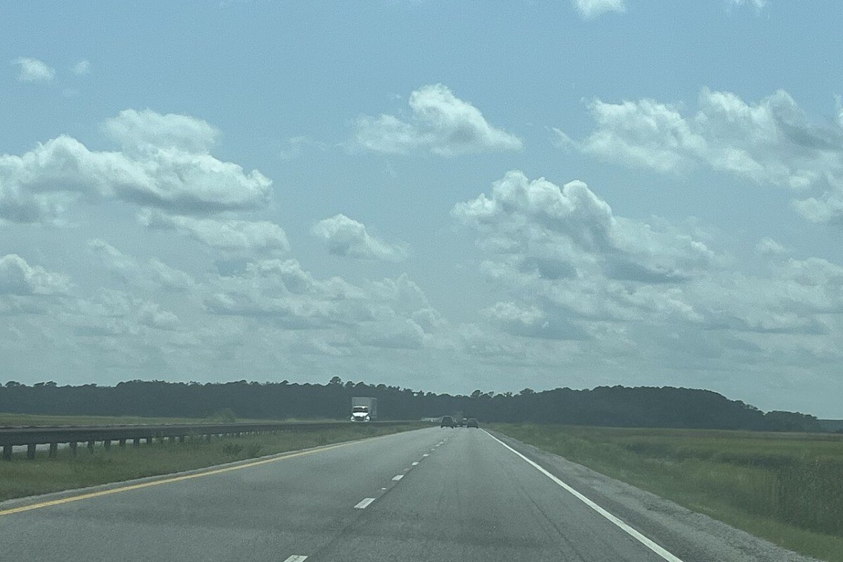 Outdoor Activities in South Carolina 2026: Waterfalls, Forests, and Coastline ACE Basin South Carolina coastal wetlands lowcountry conservation area