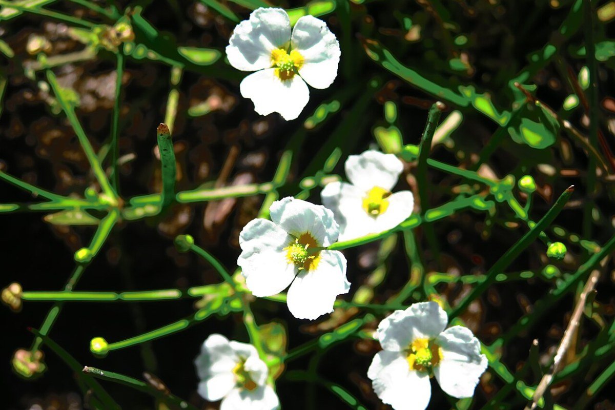 Best Cities and Towns in Wales 2026: Cardiff, Swansea, Newport, and Beyond Swansea Bay seafront coastal promenade Mumbles Wales United Kingdom