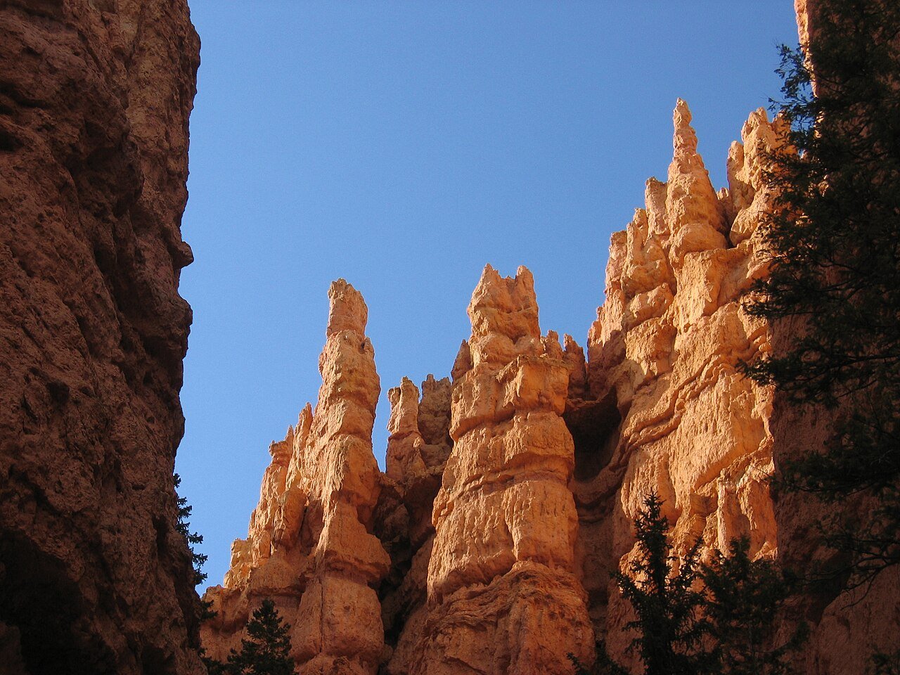 Bryce Canyon hoodoos Utah amphitheater orange red white formations International Dark Sky Park altitude