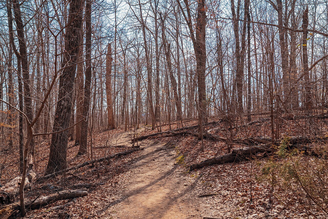 Buffalo National River Harrison Arkansas clear water scenic float trip