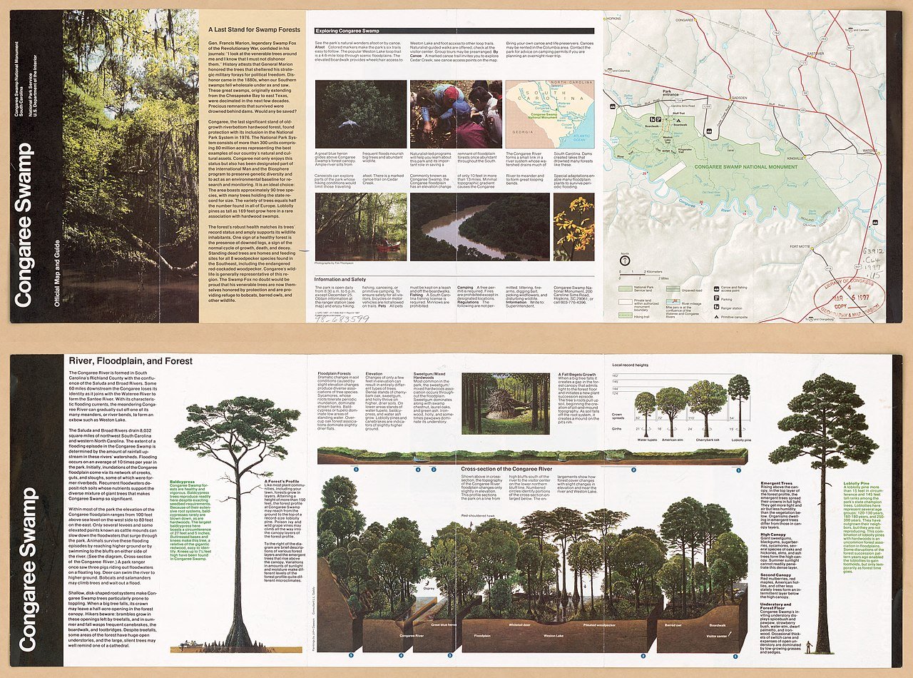 Congaree National Park South Carolina old growth bottomland forest boardwalk cypress trees swamp floodplain