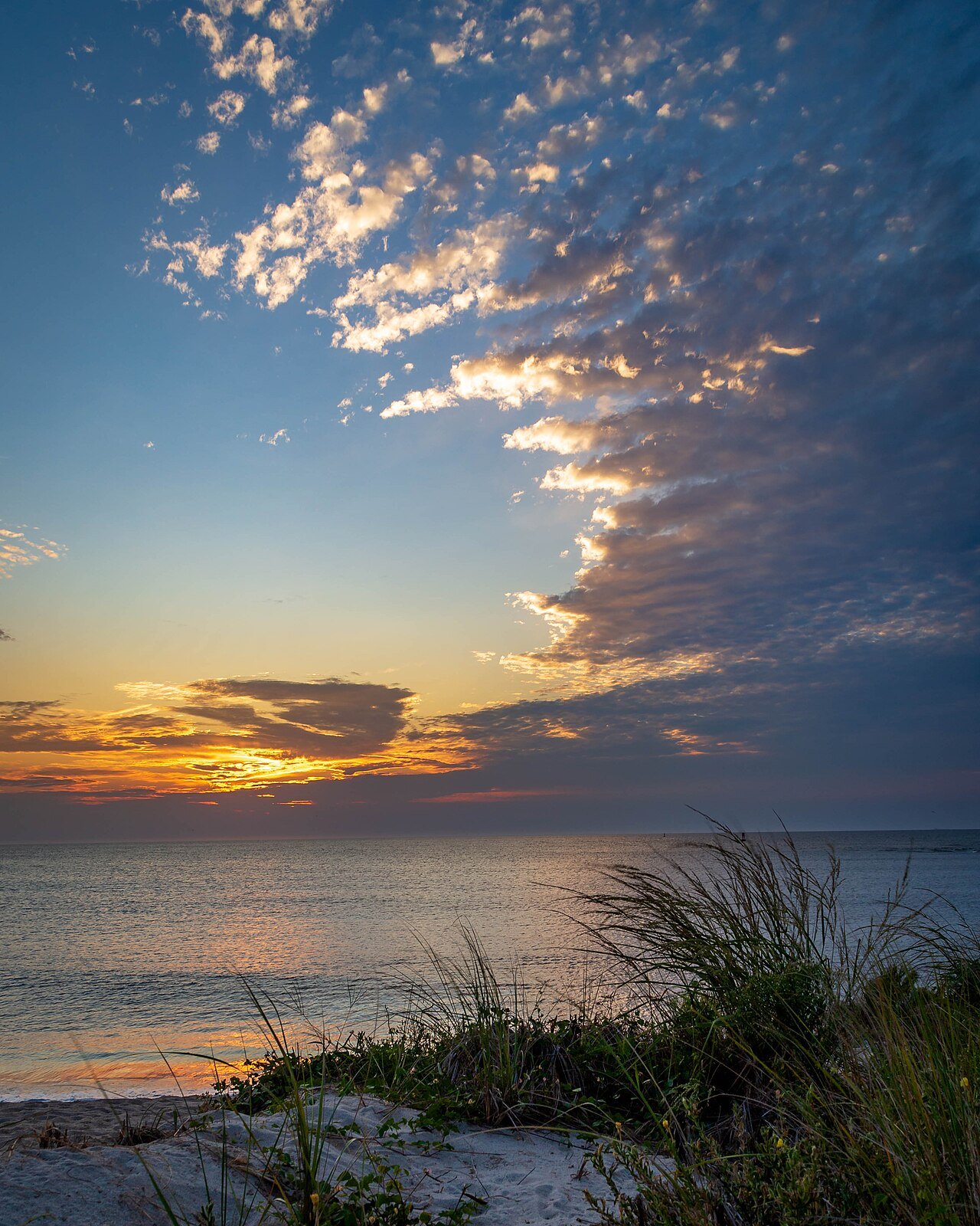 Delaware beach sunrise Atlantic Ocean coastal morning golden light shoreline
