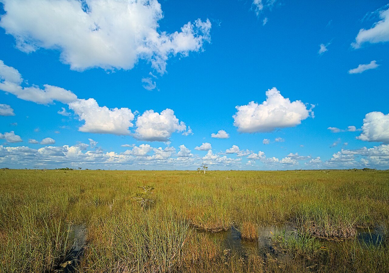 Everglades Pa-hay-okee sawgrass prairie wetlands Florida National Park