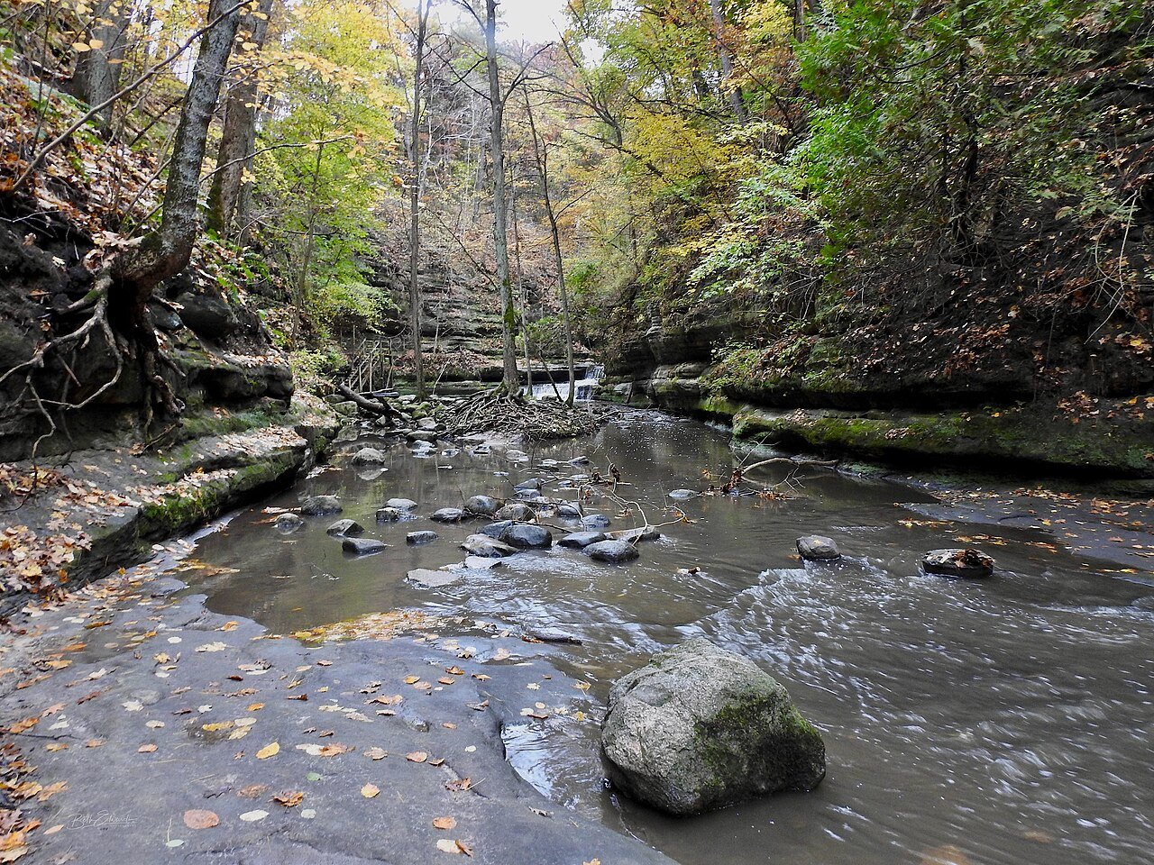 Sangchris Lake State Park Illinois hiking trail wooded path