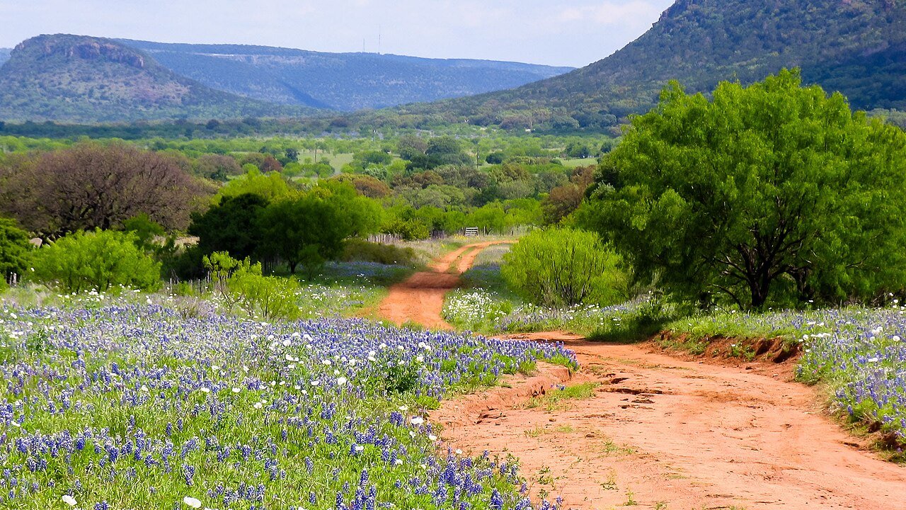 Texas Hill Country dirt road bluebonnets spring wildflowers limestone hills Fredericksburg Willow City Loop