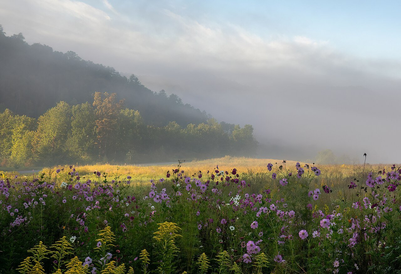 Smoky Mountains Tennessee Appalachian highlands autumn misty forest valley landscape