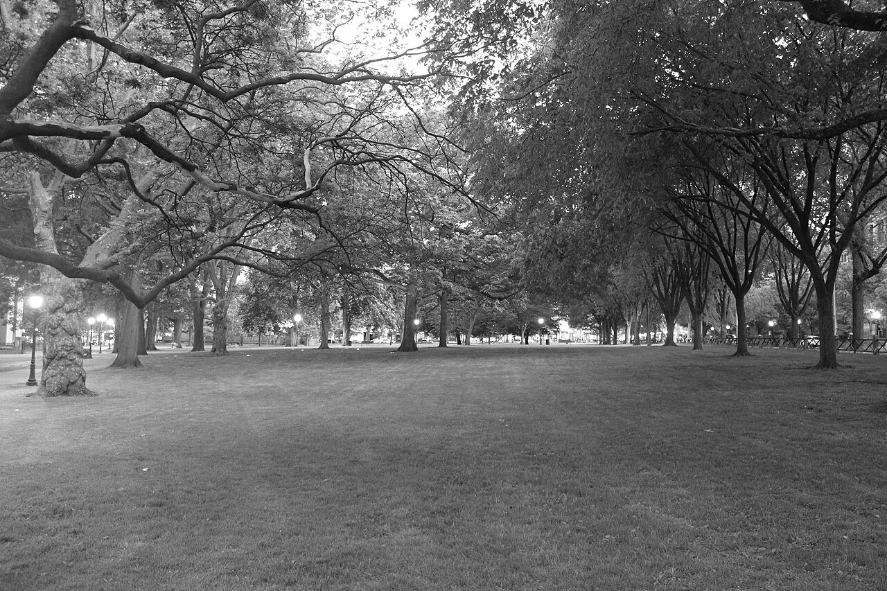 New Haven Connecticut skyline city view downtown urban buildings