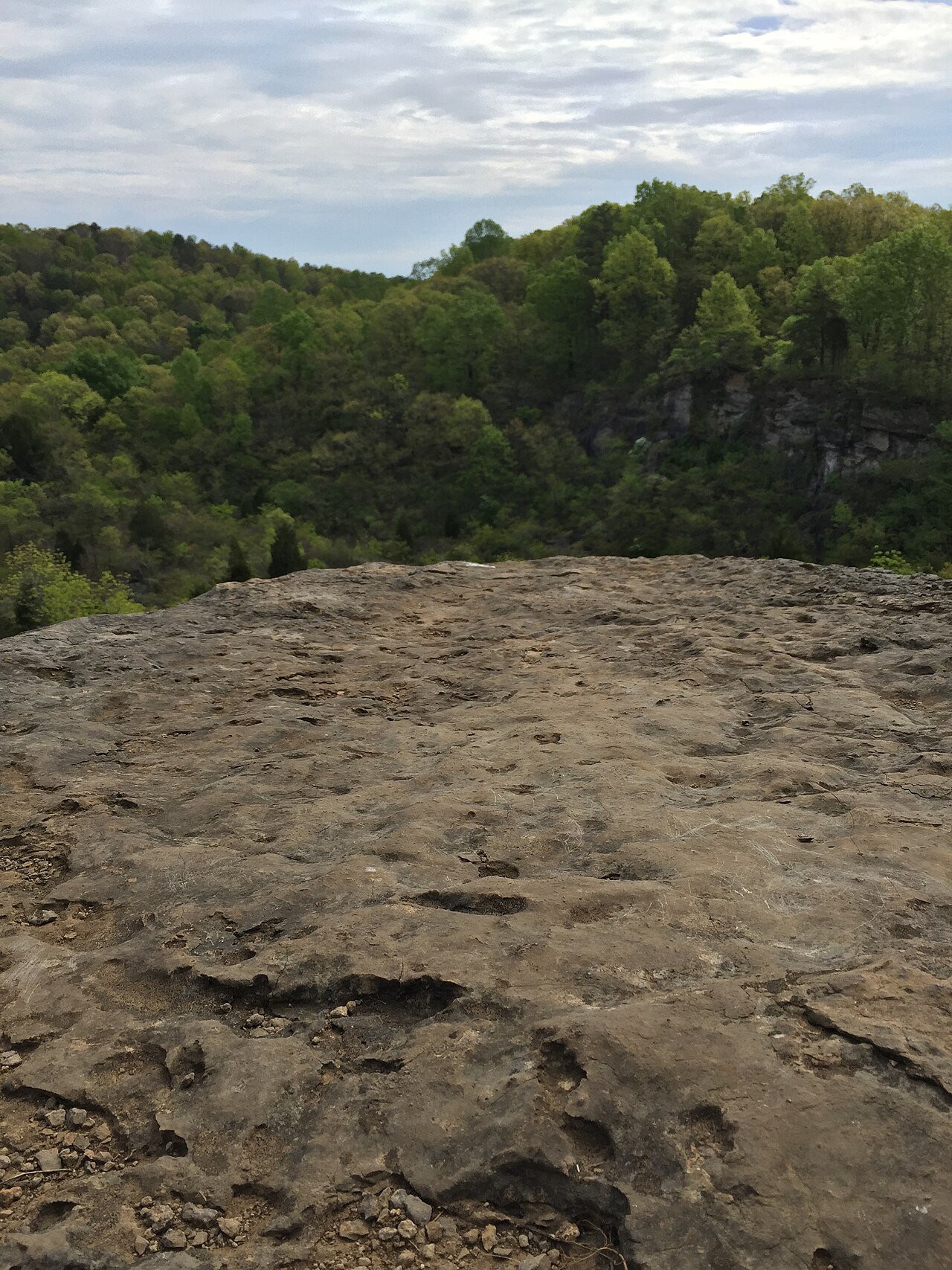 Ruffner Mountain Nature Preserve Birmingham Alabama hiking trails nature reserve