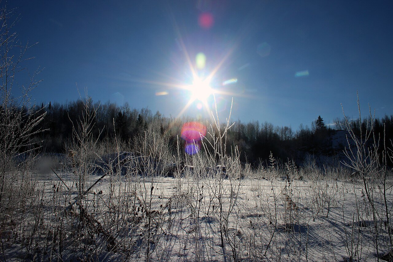 Winter morning hike trail Alabama outdoors nature cold forest path