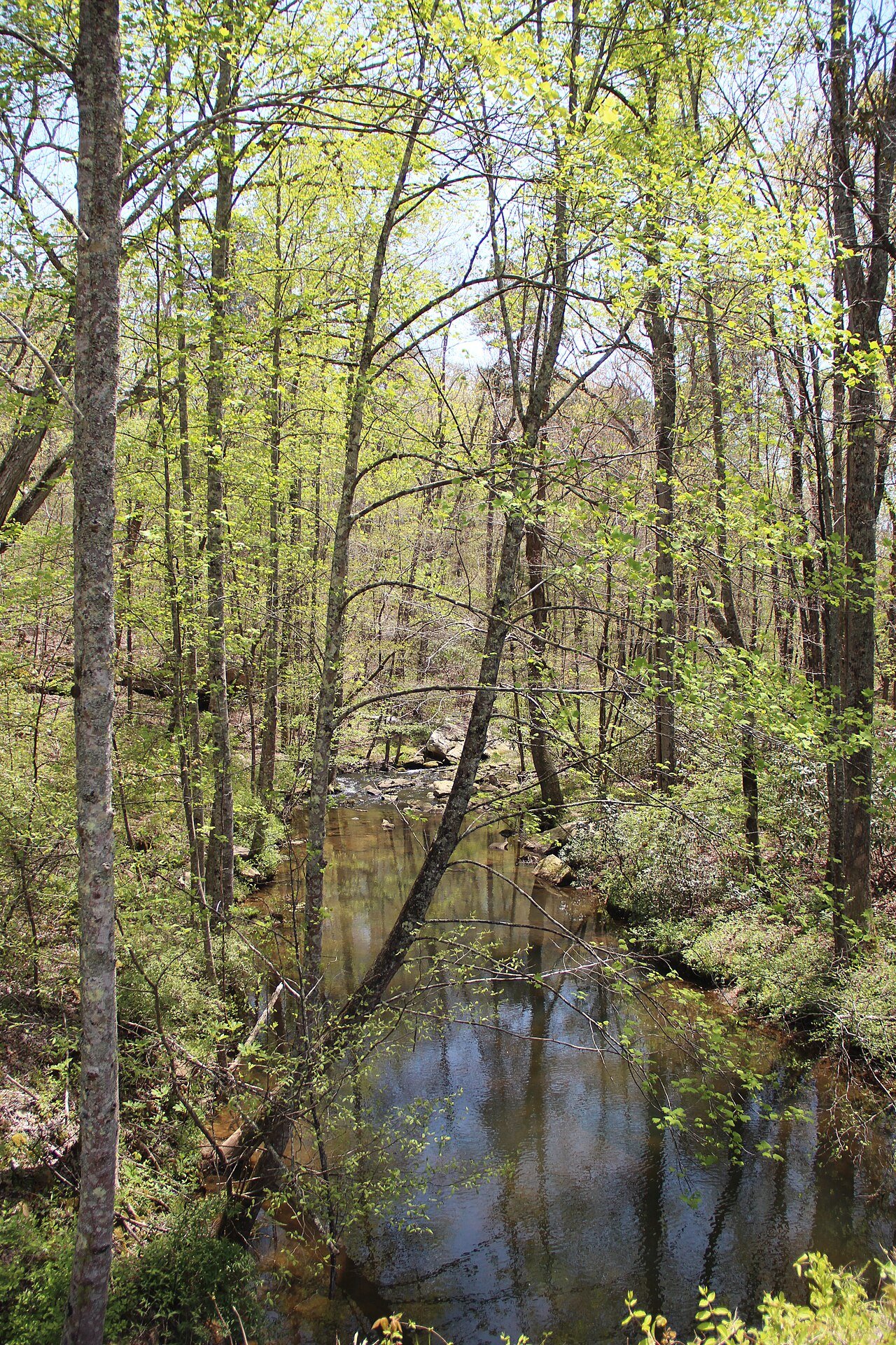 Wolf Creek flowing through Little River Canyon National Preserve in Alabama