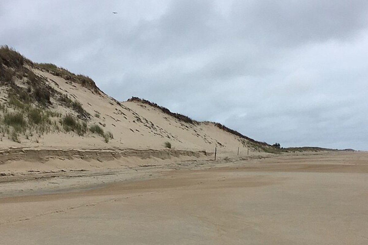 Delaware Outdoors: Beaches, Birding, Paddling, and Coastal Life Cape Henlopen State Park beach Delaware Atlantic Ocean dunes and shore