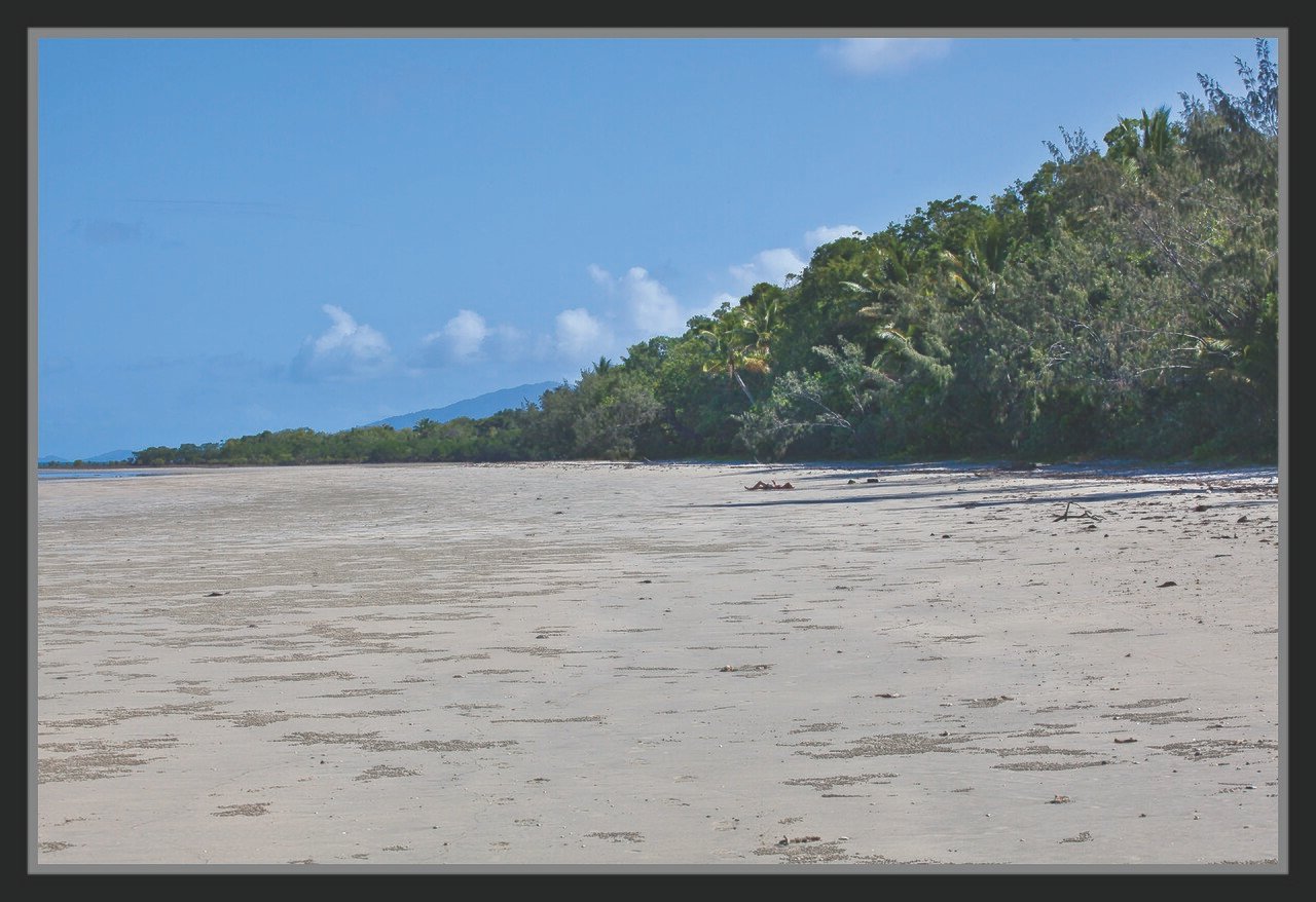 Cape Tribulation Beach Daintree Rainforest North Queensland — where the ancient tropical rainforest meets the Great Barrier Reef coastline at the northern end of the Daintree