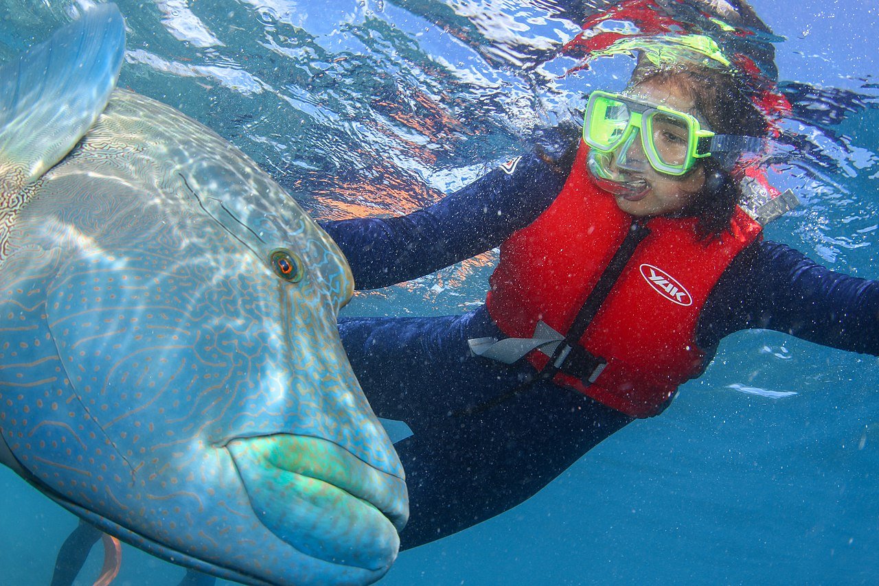 Scuba diving at the Great Barrier Reef Queensland — the world's largest coral reef system with extraordinary biodiversity of fish, coral, and marine life