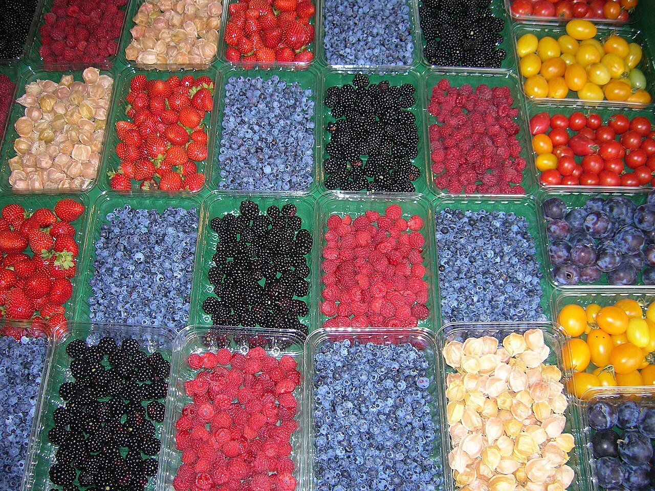 Jean-Talon Market Montreal with colorful produce displays — the finest public market in Canada and the heart of Montreal's food culture
