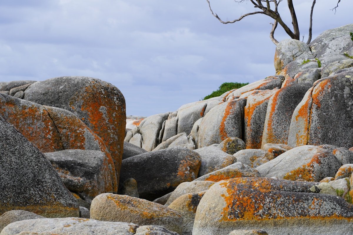 Bay of Fires Tasmania orange lichen granite boulders East Coast Australian wilderness unique landscape