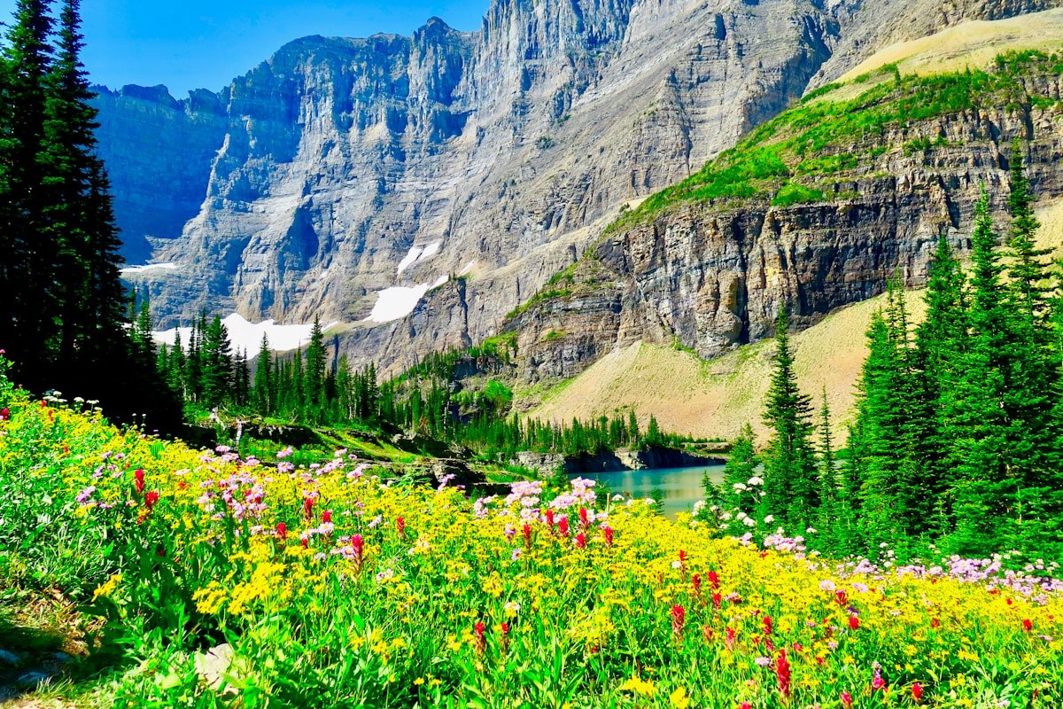 Glacier National Park Montana wildflowers alpine lake rocky peaks summer hiking Big Sky Country