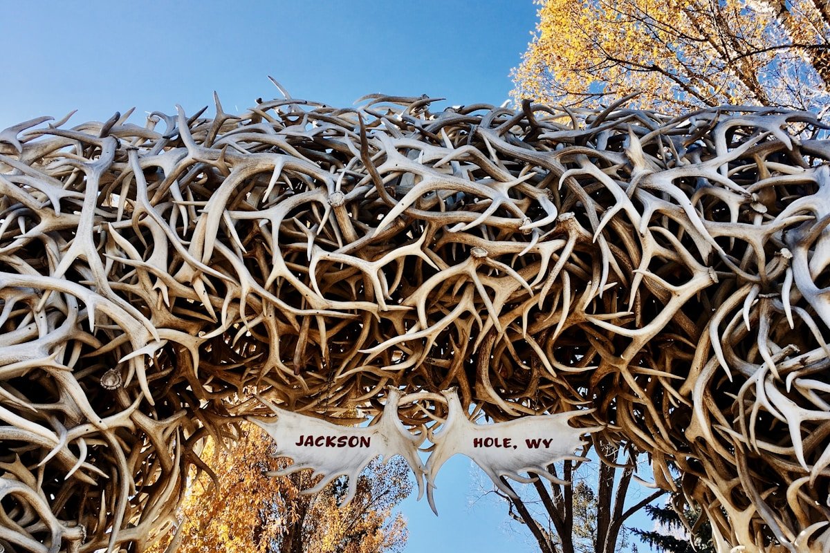 Jackson Hole Wyoming Town Square antler arch elk antler arch iconic landmark mountain town