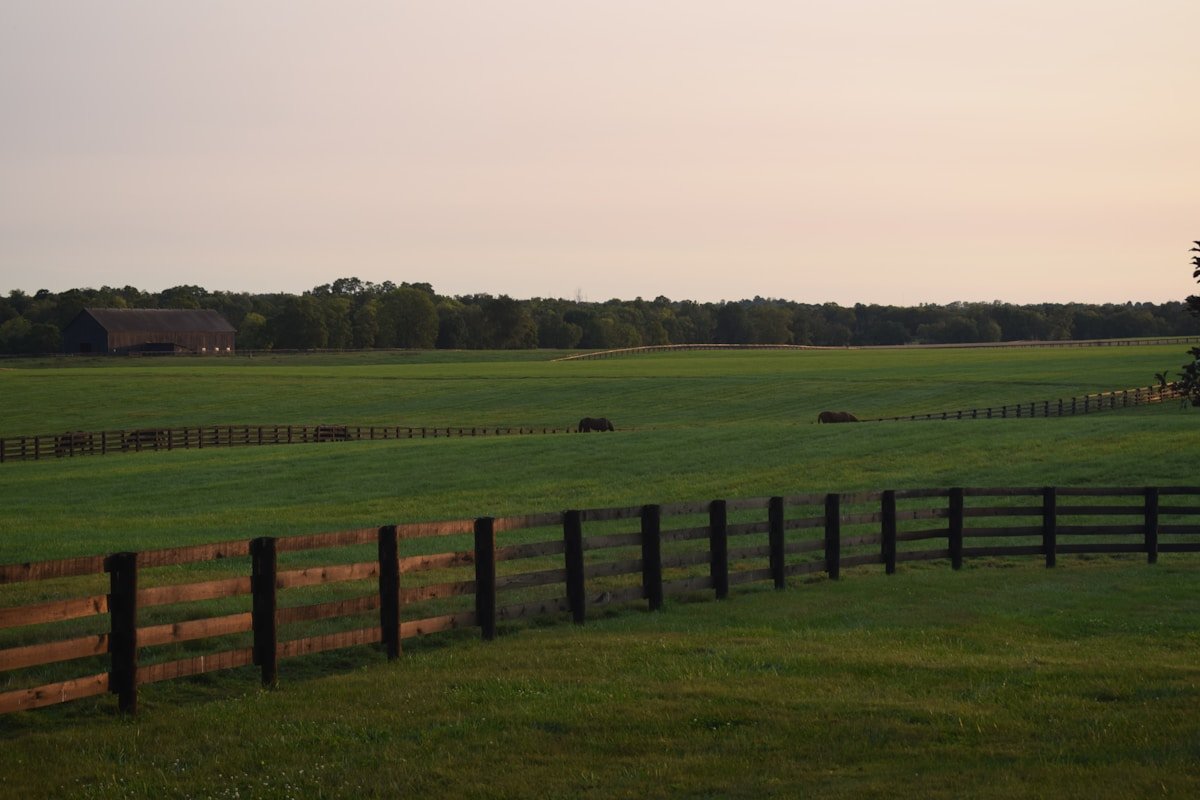 Kentucky Bluegrass horse farm fence pasture Lexington thoroughbred horse country rolling hills