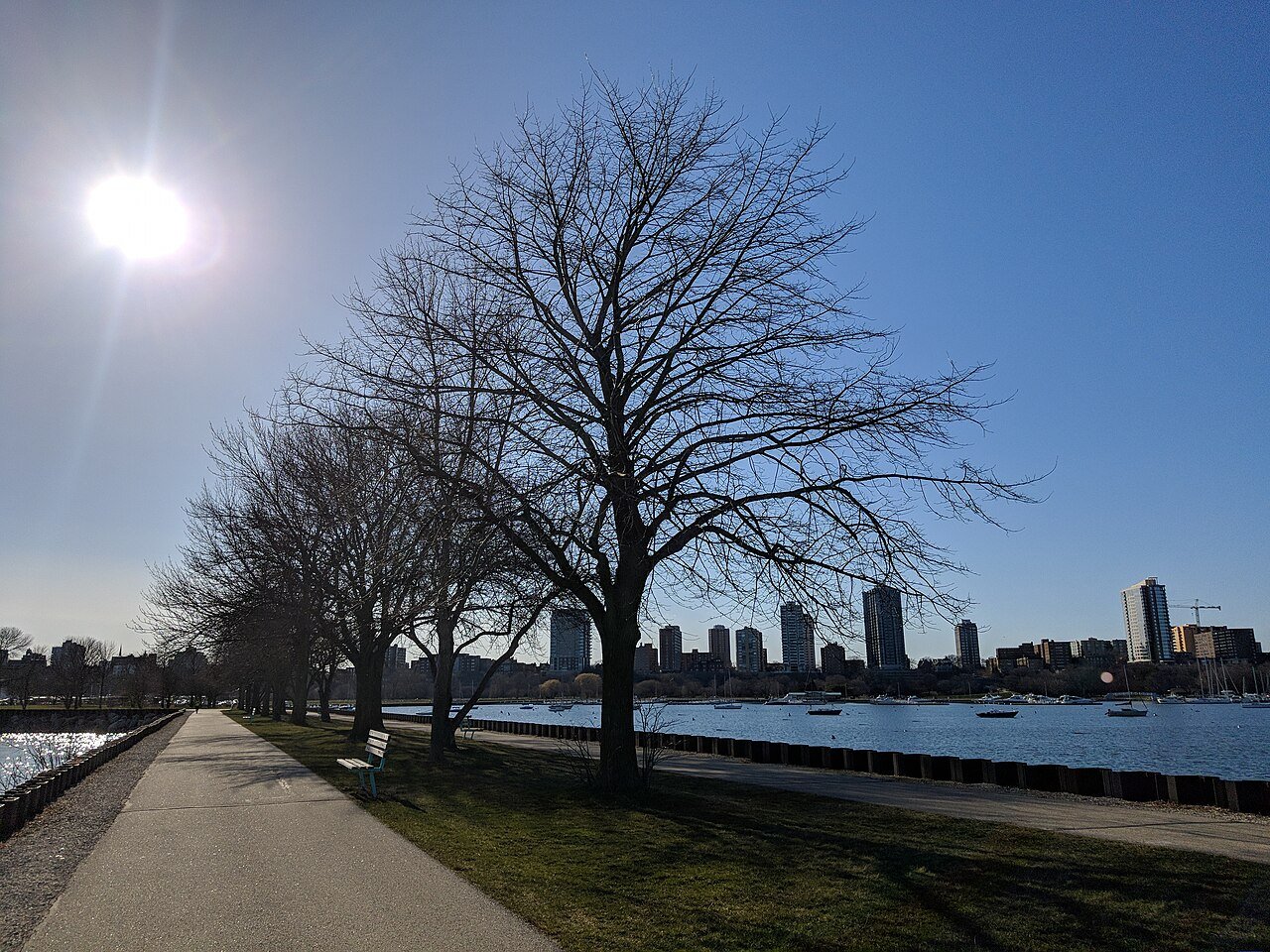 Milwaukee Wisconsin lakefront skyline Lake Michigan downtown winter bare trees park