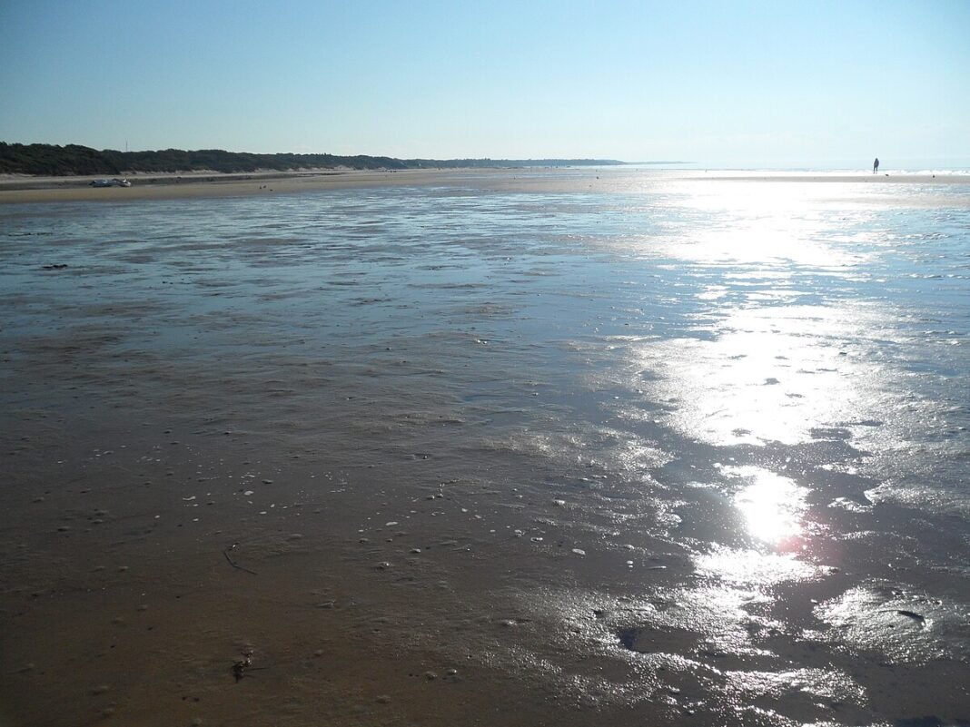 Moving to Massachusetts in 2026: Complete Relocation Guide Tidal flats at Cape Cod Bay, Brewster, Massachusetts