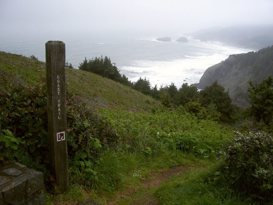 Outdoor Activities in Oregon 2026: Cascades, Coast, and High Desert Coastal trail at Samuel H Boardman State Scenic Corridor, southern Oregon coast