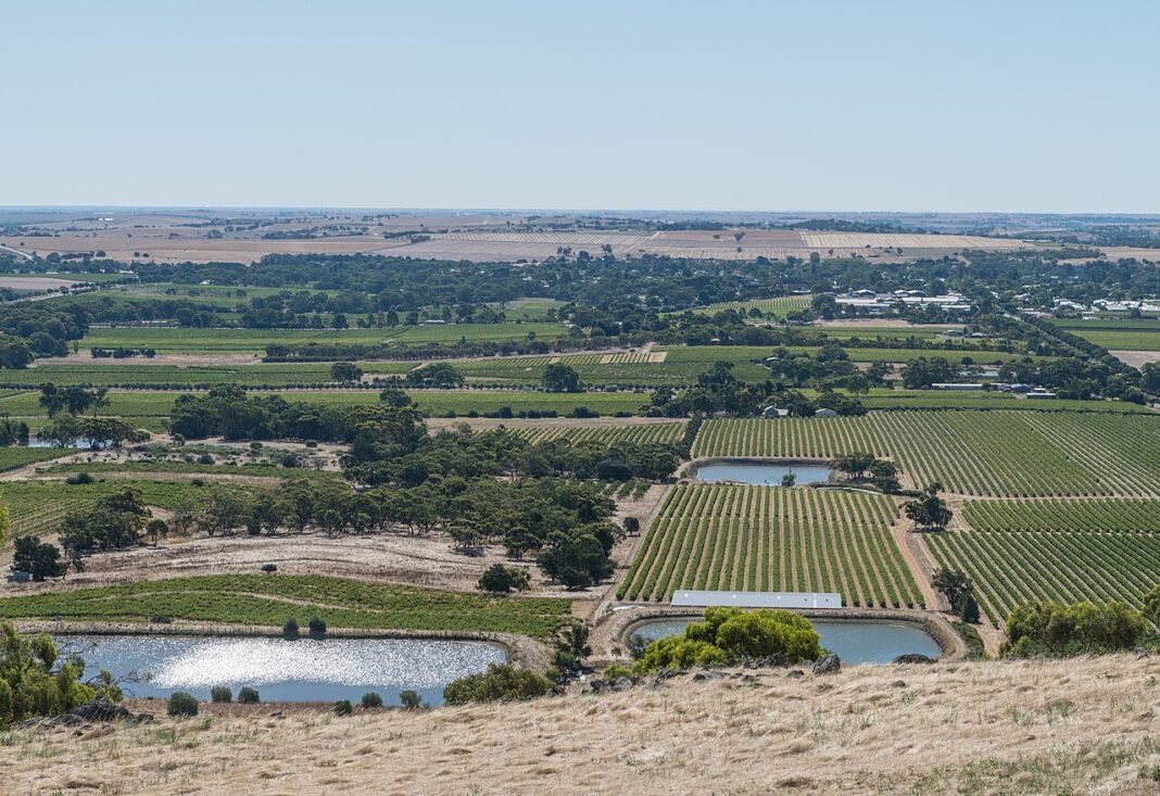 Cost of Living in South Australia 2026: Adelaide’s Affordable Advantage View of Barossa Valley from Mengler Hill, South Australia, 2023
