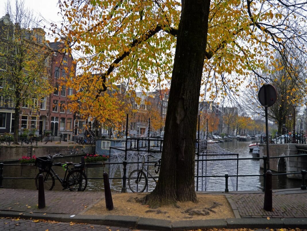 Solo Travel Safety Tips: How to Stay Safe and Confident on the Road Amsterdam canal Herengracht with autumn tree, Netherlands