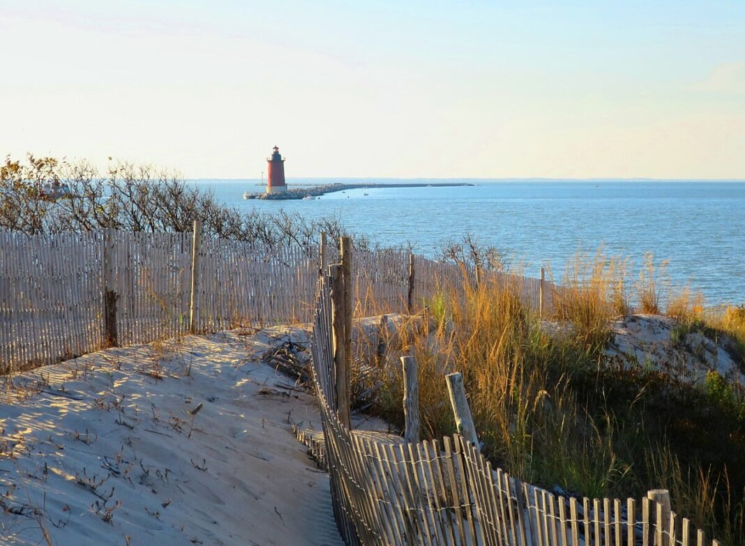 Delaware Outdoors: Beaches, Birding, Paddling, and Coastal Life Cape Henlopen State Park beach, Lewes, Delaware
