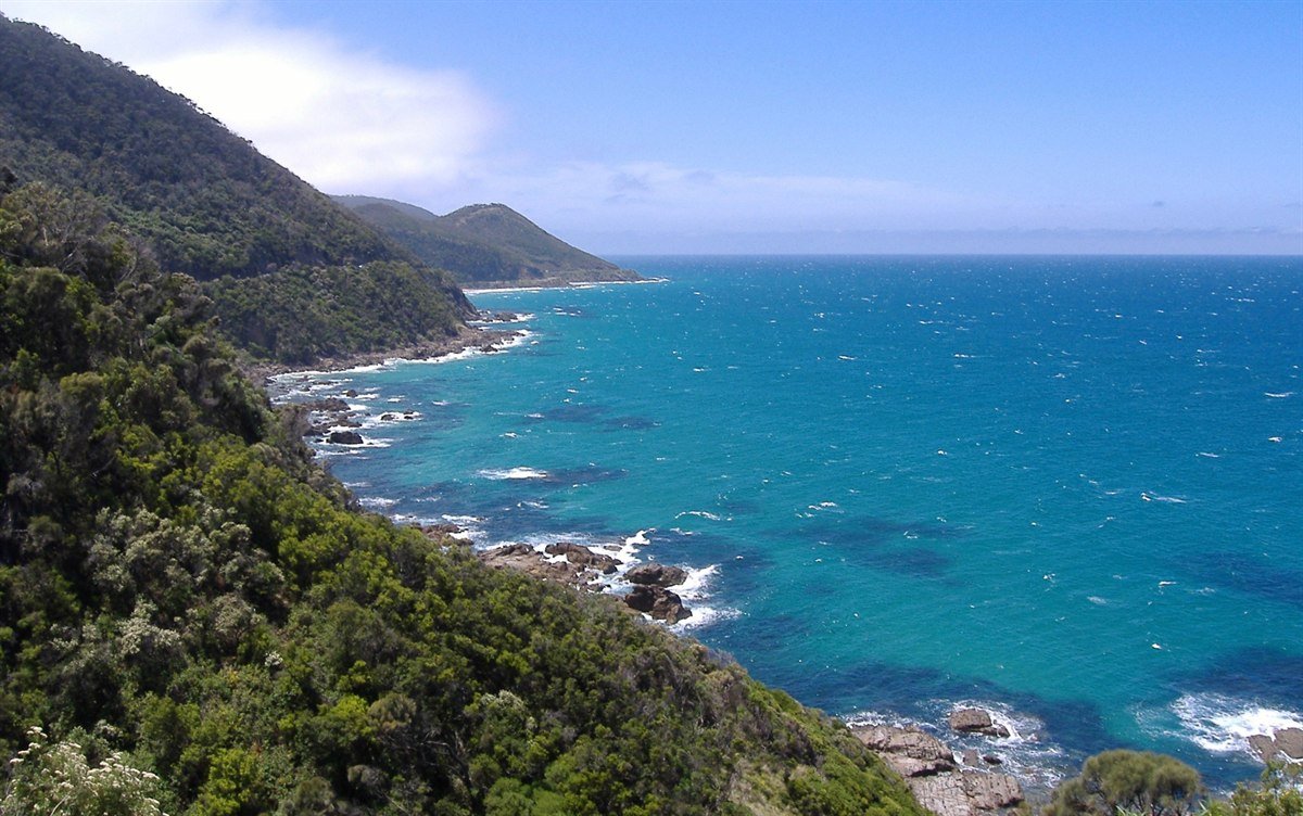 Great Ocean Road coastline with turquoise water and forested cliffs Victoria Australia — the dramatic Southern Ocean shoreline between Apollo Bay and the Twelve Apostles