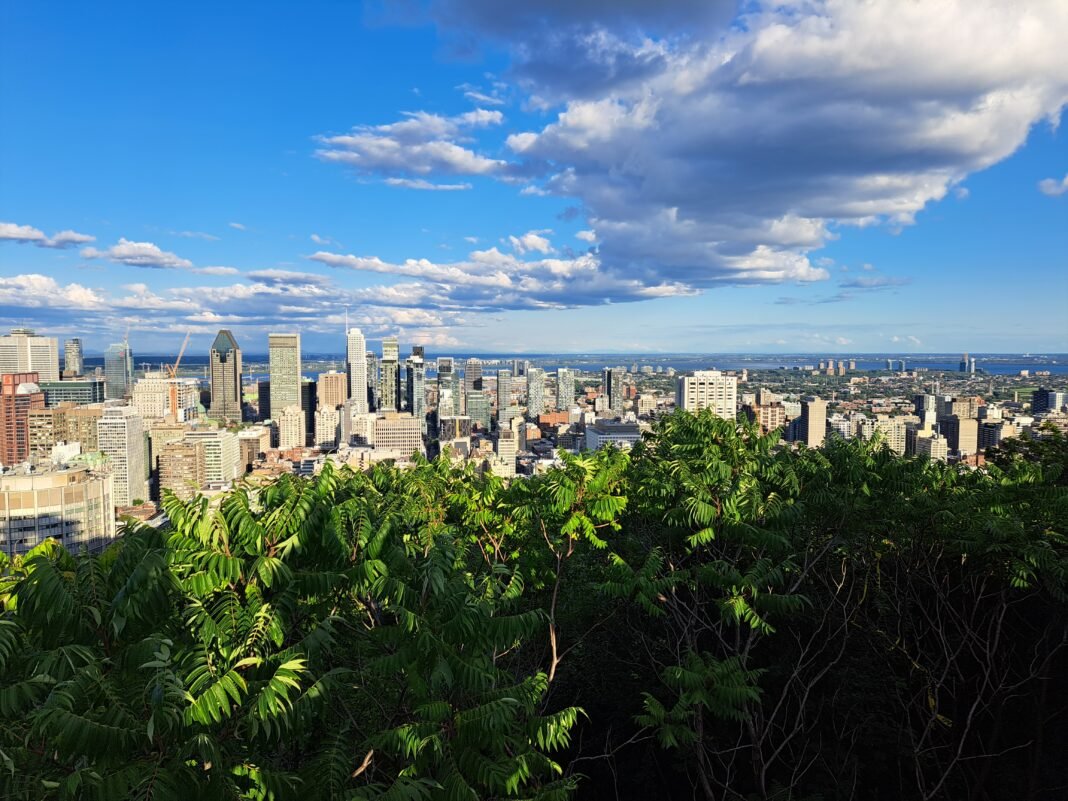 Best Places to Live in Quebec 2026: Montreal Neighbourhoods, Quebec City, and the Regions Montreal downtown skyline seen from the Mont Royal lookout in summer, Quebec Canada